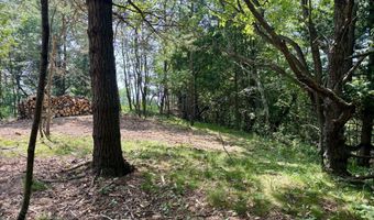 002 Maxey Rd, Arcadia, MI 49613