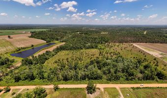 Lot # 2 - 6.2 Ac Perry Horton, Adrian, GA 31002