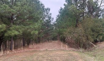 County Road 29, Alberta, AL 36720