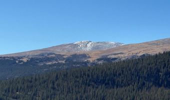 0 County Road 787, Alma, CO 80420