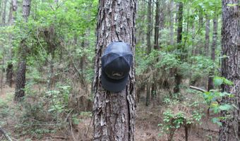 Hwy 550, Brookhaven, MS 39601