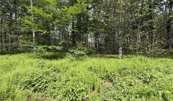 Dorshimer Ave, Blakeslee, PA 18610