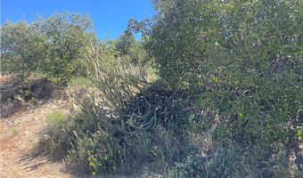 33 Sweetbush, Anza, CA 92539