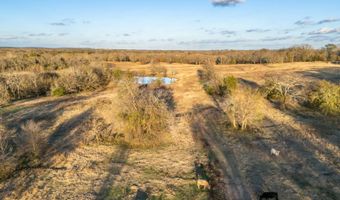 8667 W Hardwood Rd, Atoka, OK 74525