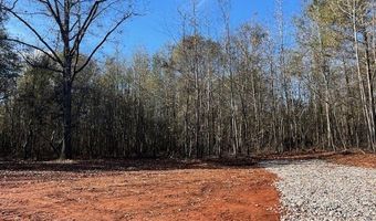 146 Berry Rd Lot 12B, Barnesville, GA 30204
