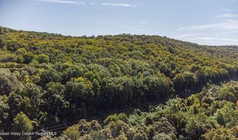 22 Old State Rte, Amenia, NY 12501