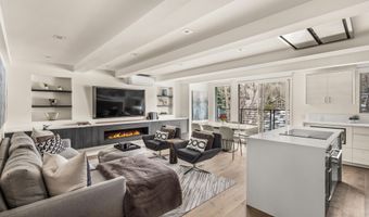 1039 E Cooper Ave 20, Aspen, CO 81611