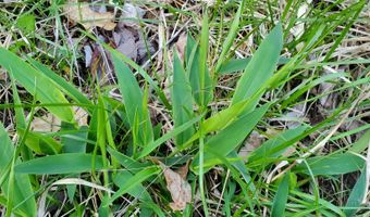 4775 S 50th Rd, Aldrich, MO 65601