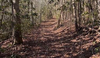 1834 Bristol Ave, Andrews, NC 28901