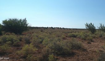 Tbd Wicked Sisters Way 38ac, Concho, AZ 85924