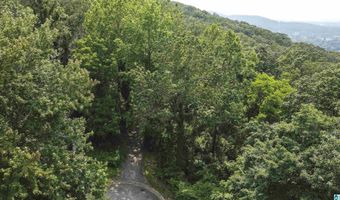 0 LANIER Pl 26.25 ac, Anniston, AL 36207