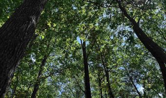 COLVIN SPRINGS ROAD 6, Ashville, AL 35953
