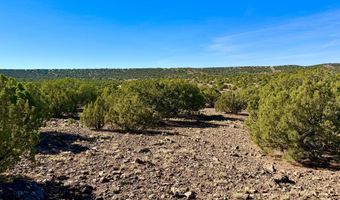 Kirkland DR 20 Acres, Concho, AZ 85924