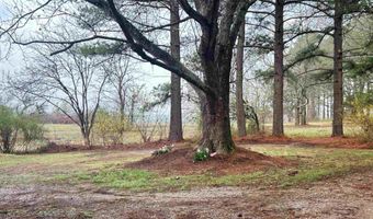 404 Evans Rd, Ash Flat, AR 72513