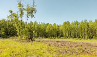Beech Bluff Road, Beech Bluff, TN 38313