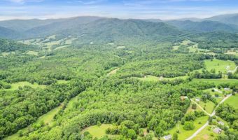 687 Gidsville Rd, Amherst, VA 24521