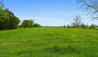 377 Acres Brent, Barnesville, GA 30204