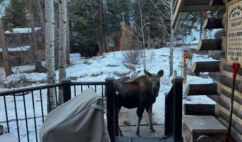 124 Ski Rd, Allenspark, CO 80510
