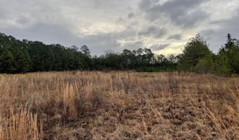 Lot 8 Sumrall Rd, Columbia, MS 39429