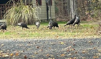 979 BARNEY JENKINS Rd, Felton, DE 19943