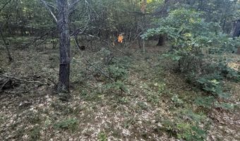 Michael Drive, Alger, MI 48610