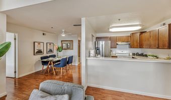 535 Pierce St 1307, Albany, CA 94706