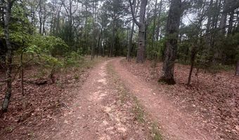 UNIT # 263B KIAMICHI WILDERNESS RD Unit # 63 63, Antlers, OK 74523