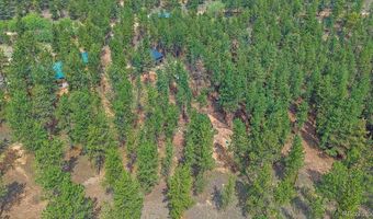 104 Six Bits St, Bailey, CO 80421