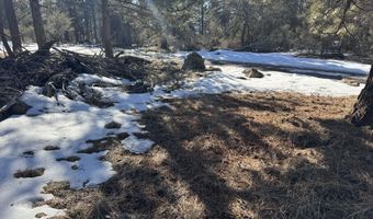 Golden Eagle Drive 30, Bonanza, OR 97623
