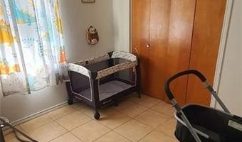 1319 Sago Palm St, Alamo, TX 78516