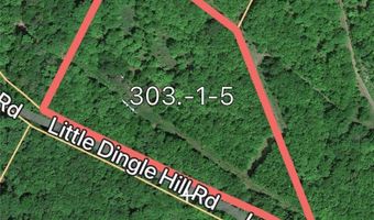 0 Lower Dingle Hill Rd, Andes, NY 13731