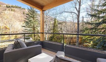 55 Smuggler Grove Rd, Aspen, CO 81611