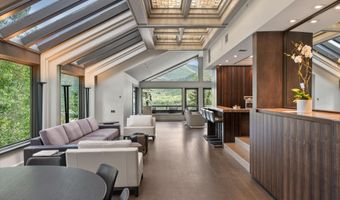 730 S Galena St, Aspen, CO 81611