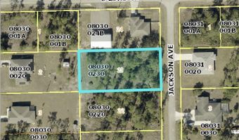 2221 Jackson Ave, Alva, FL 33920