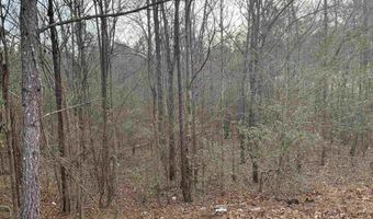 6 Acre T Owens Dr, Anniston, AL 36201