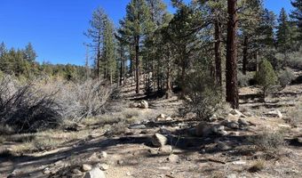 Highway 38, Angelus Oaks, CA 92305