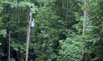 9999 Countryside Est, Barnardsville, NC 28709