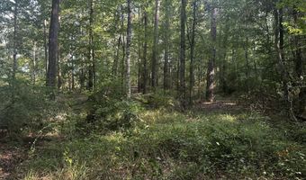 137 Shorter Rd, Braxton, MS 39044