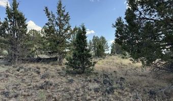 TL 300 HWY 140, Beatty, OR 97621