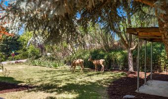 4100 N Bodenheimer St, Boise, ID 83703