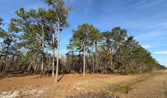 5686 Golden Isle W, Baxley, GA 31513