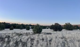 317 Forest Line Cir, Ash Fork, AZ 86320