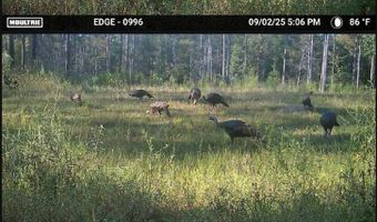 Hwy 9, Bruce, MS 38915