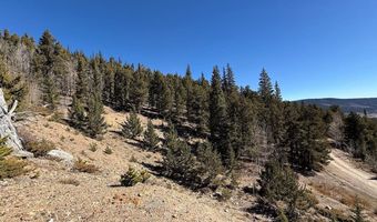 0 County Road 787, Alma, CO 80420