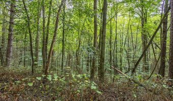 3 Ac Chestnut Flats Rd, Andrews, NC 28901