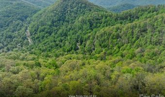21 Reillys Bluff Rd 1, Barnardsville, NC 28709