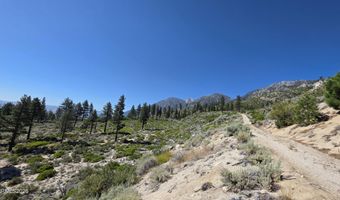 1219-04 002-005 Kingsbury Grade Rd, Gardnerville, NV 89460