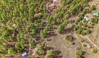 6 N CR 2148, Alpine, AZ 85920
