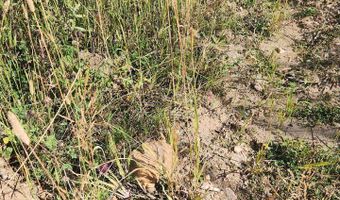 0 Crystal Mountain Rd, Bellvue, CO 80512