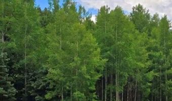 662 Spring Valley Ln, Florissant, CO 80816